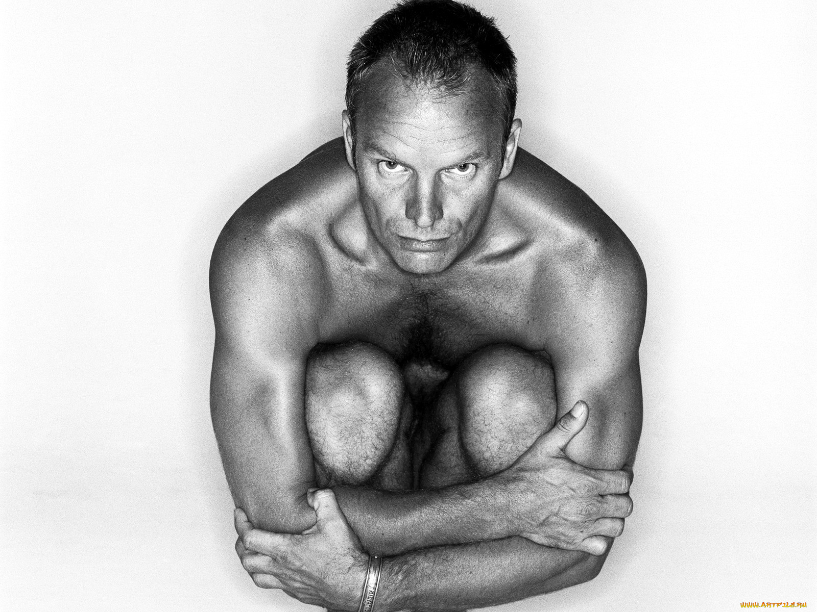 sting, 